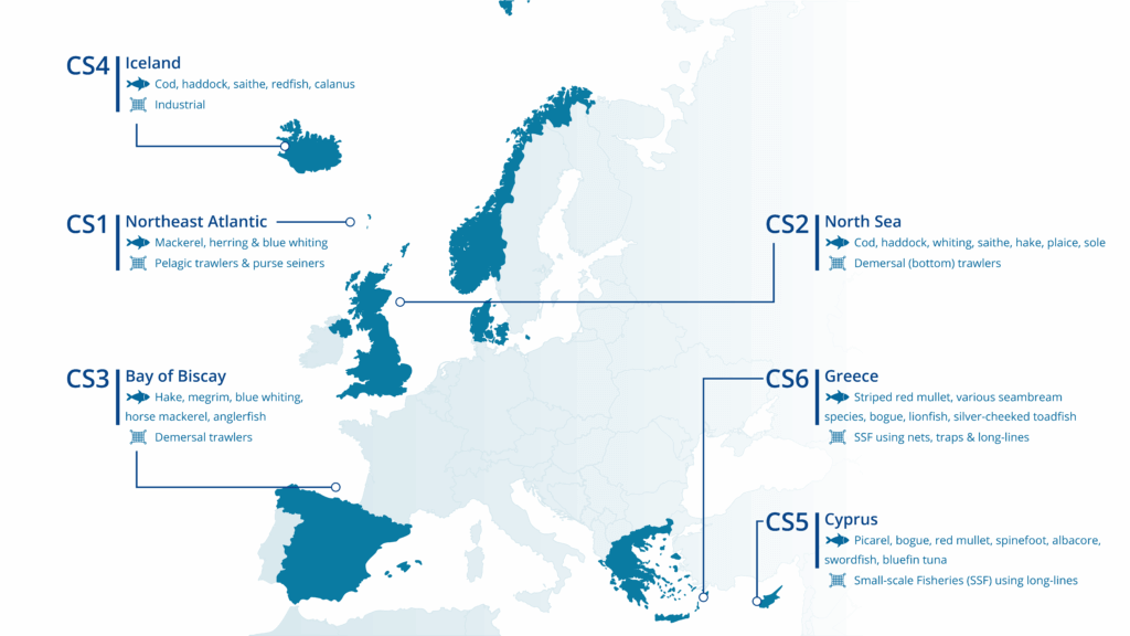 MeCCAM case studies pilots